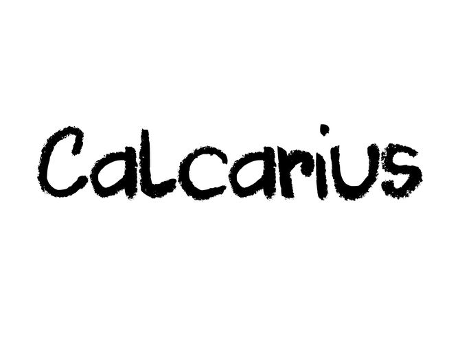 CALCARIUS
