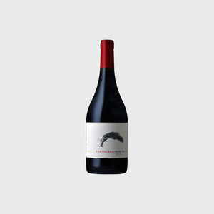 VENTOLERA PINOT NOIR - SYRAH 2019
